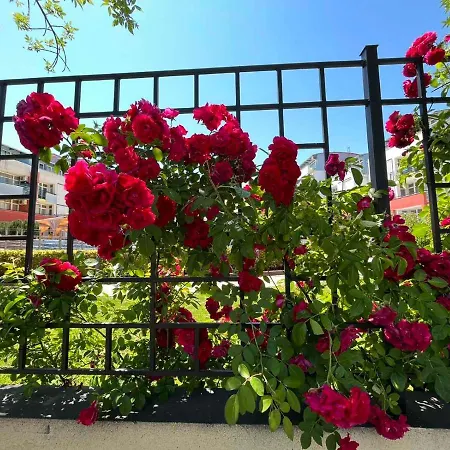 Apartman Sunny Elit3 - елит 3 апартамент Napospart